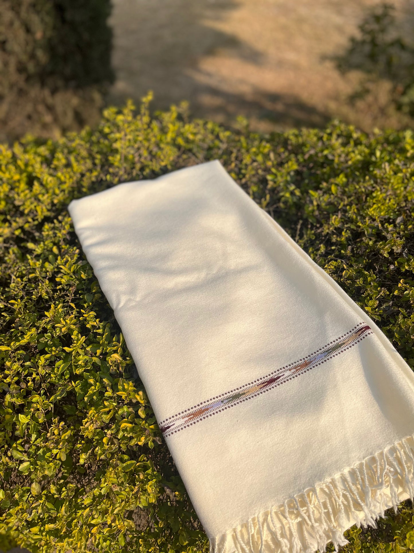 Soft Shawl Single Border(white)