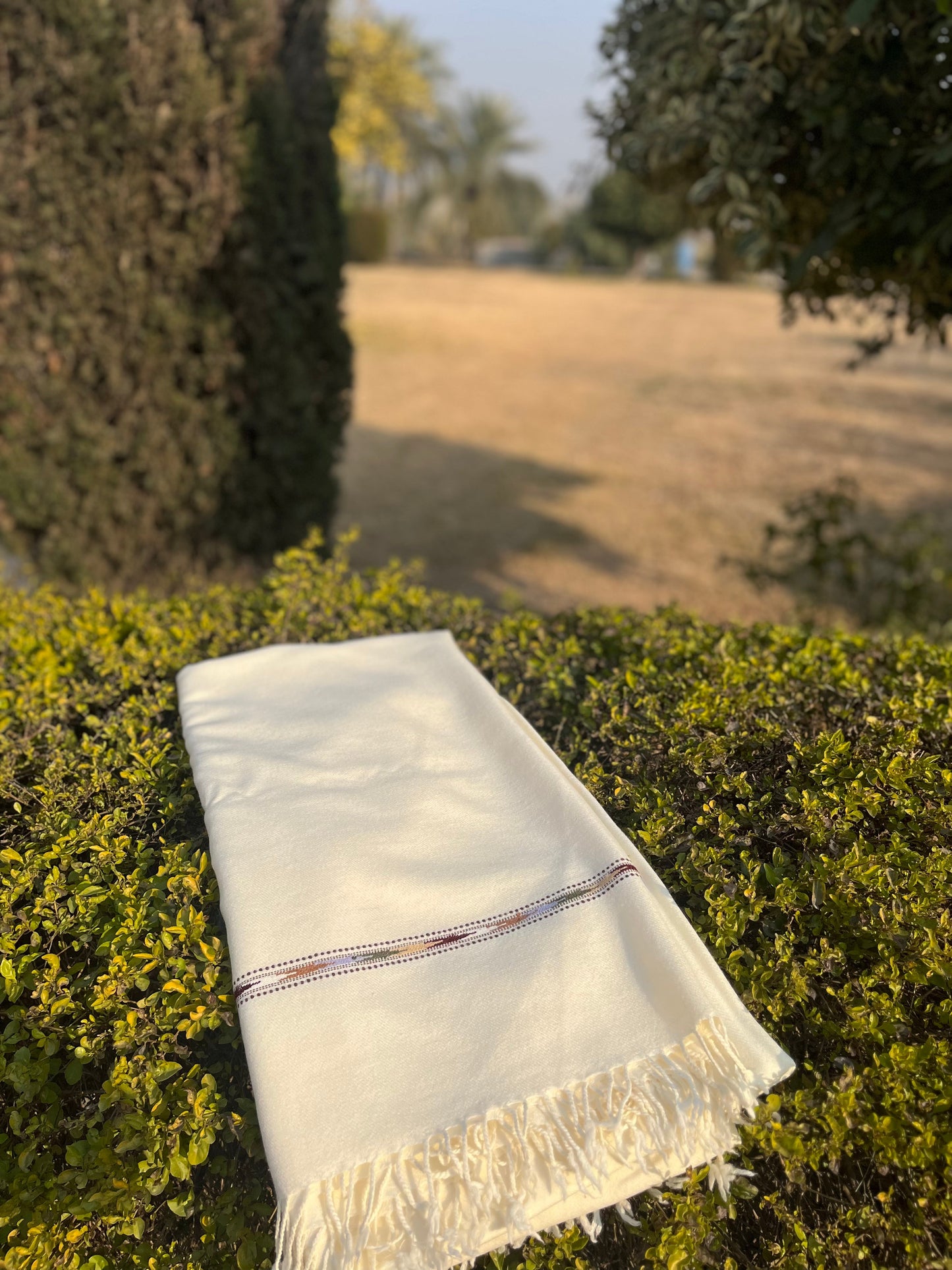 Soft Shawl Single Border(white)